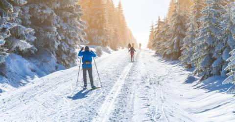 Wintersport; skiën inb de sneeuw tussen bomen